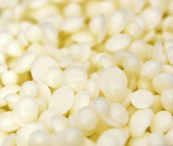 微信图片_2026-02-25_091951_317